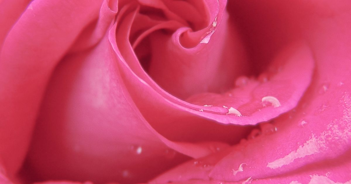 Past je testament nog bij je huidige situatie?