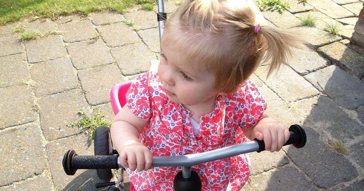 samenwonen en erven, testamenten en samenlevingscontract noodzakelijk